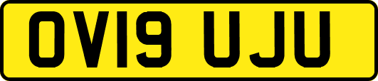 OV19UJU