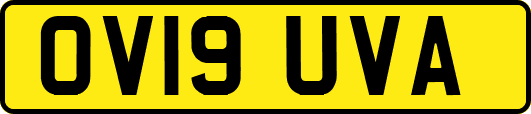 OV19UVA