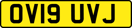 OV19UVJ