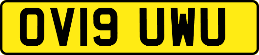 OV19UWU