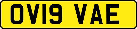 OV19VAE