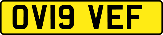 OV19VEF