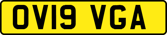 OV19VGA
