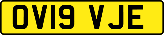 OV19VJE