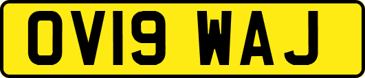 OV19WAJ