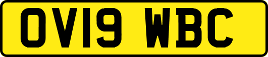 OV19WBC