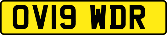 OV19WDR