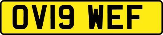 OV19WEF