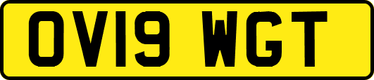 OV19WGT