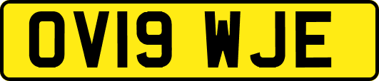 OV19WJE