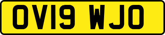 OV19WJO