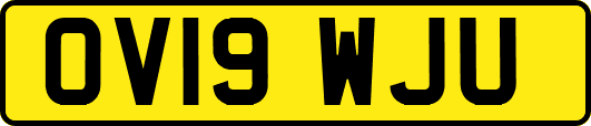 OV19WJU