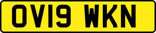 OV19WKN