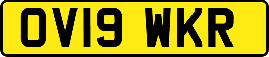OV19WKR