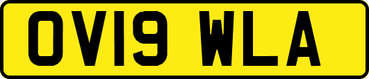 OV19WLA