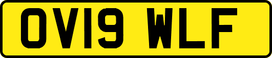 OV19WLF