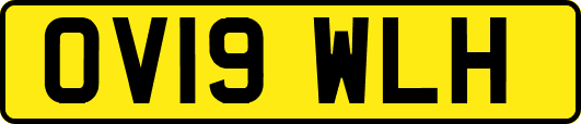 OV19WLH