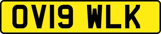 OV19WLK
