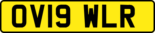 OV19WLR