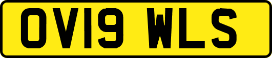 OV19WLS