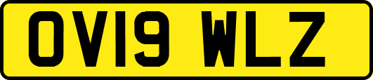 OV19WLZ
