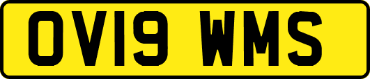 OV19WMS