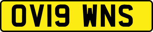 OV19WNS