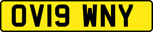 OV19WNY