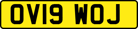 OV19WOJ