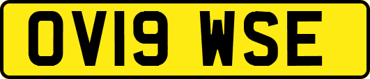 OV19WSE