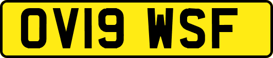 OV19WSF