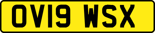 OV19WSX