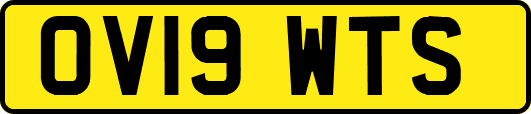 OV19WTS