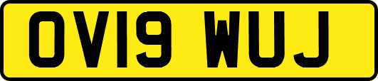 OV19WUJ