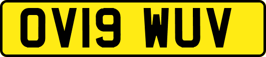 OV19WUV