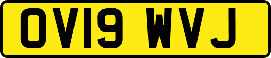 OV19WVJ