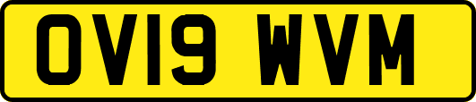 OV19WVM