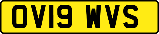 OV19WVS