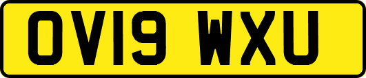 OV19WXU