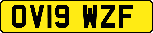 OV19WZF