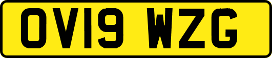 OV19WZG