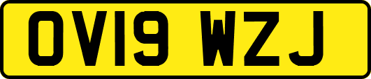 OV19WZJ