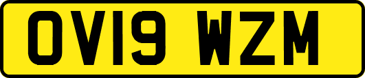 OV19WZM
