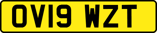OV19WZT