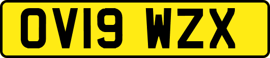 OV19WZX
