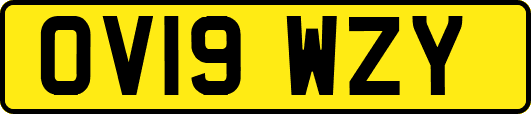 OV19WZY