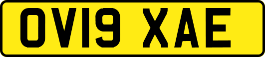 OV19XAE