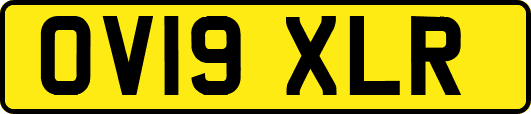 OV19XLR