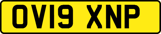 OV19XNP