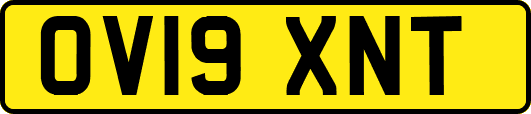 OV19XNT